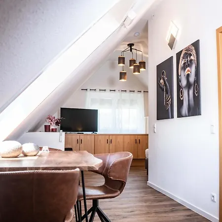 Cityapartments Klimatisiert Guest house