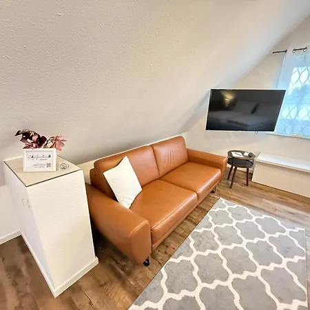 Cityapartments Klimatisiert Πανσιόν Φριντρισχάφεν